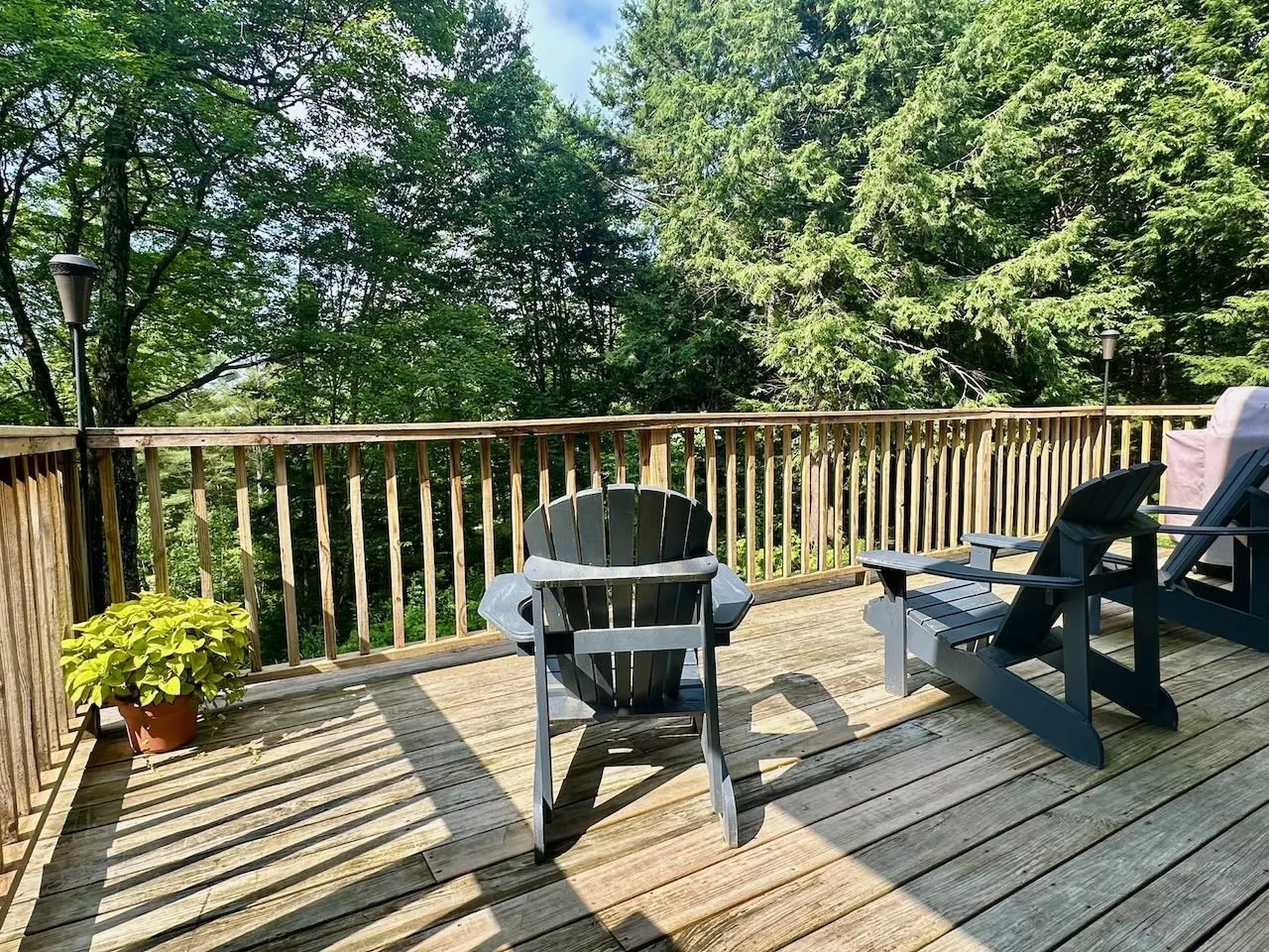 74 Park Drive Westfield VT 05874