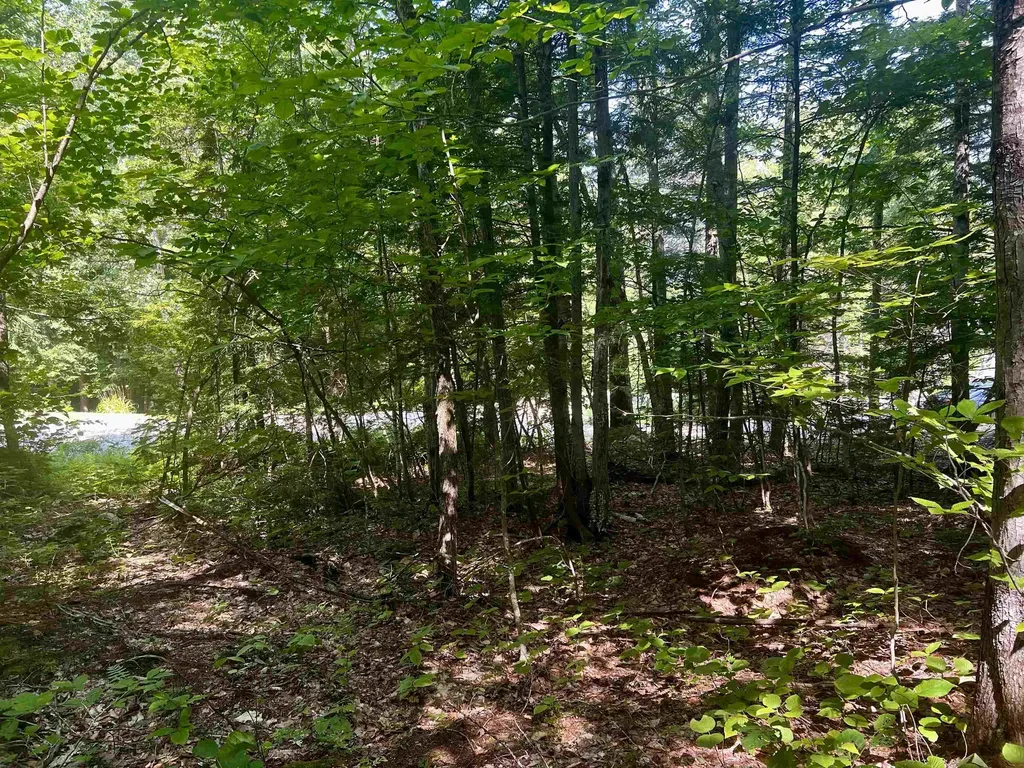 -- Landsdown Lane Conway NH 03818