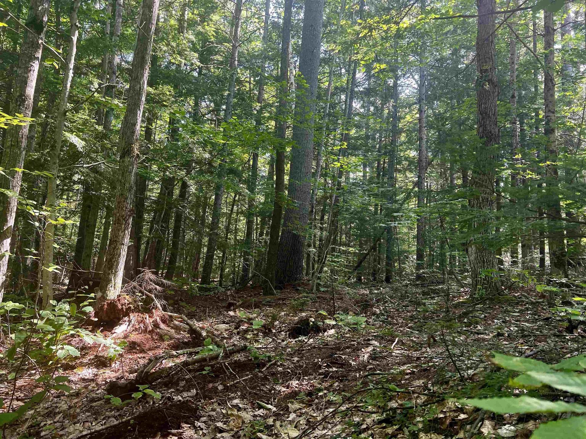 -- Landsdown Lane Conway NH 03818