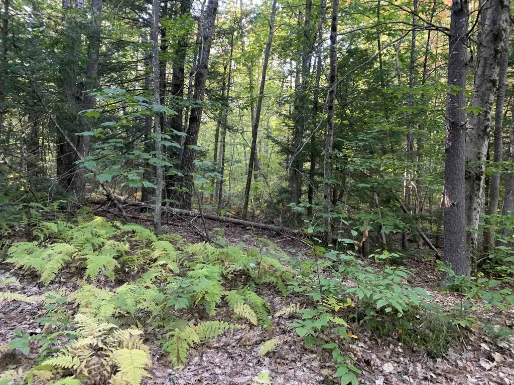 21 Quimby Drive Northwood NH 03261