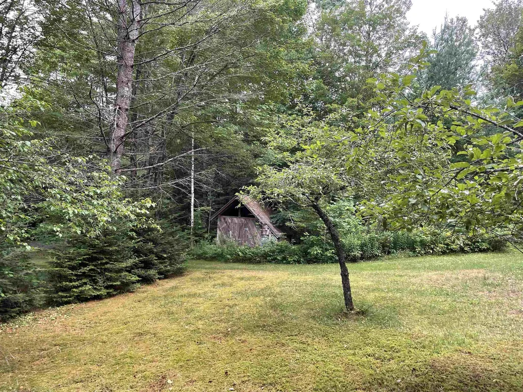 463 Chartier Hill Road Woodbury VT 05681