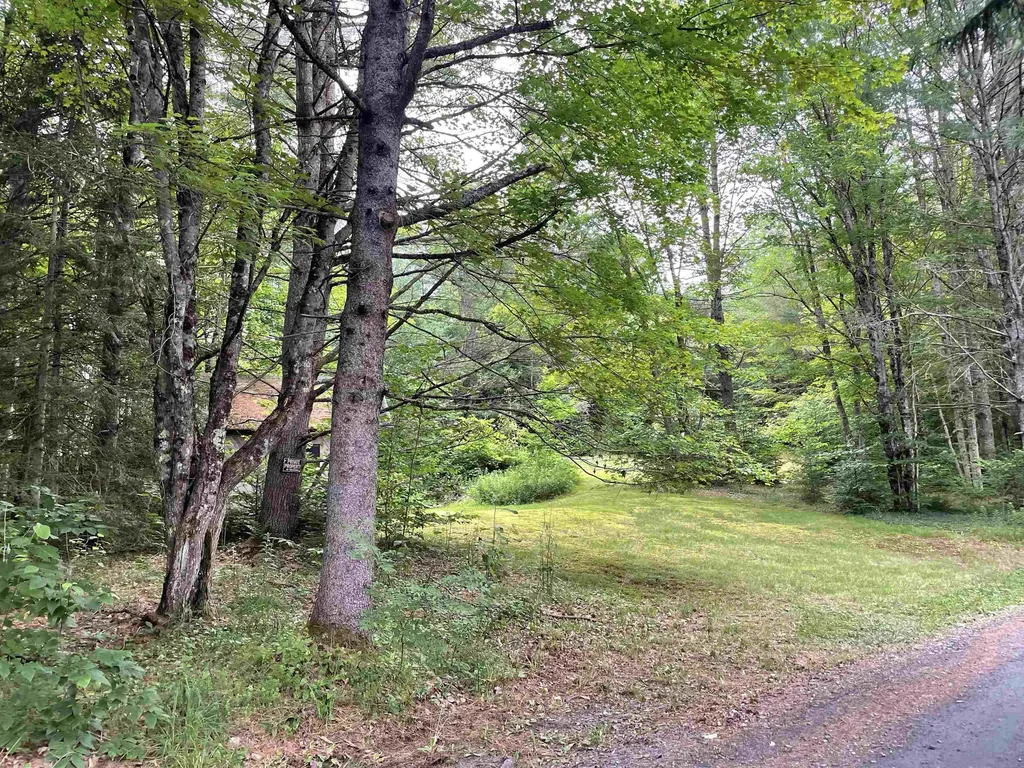 463 Chartier Hill Road Woodbury VT 05681