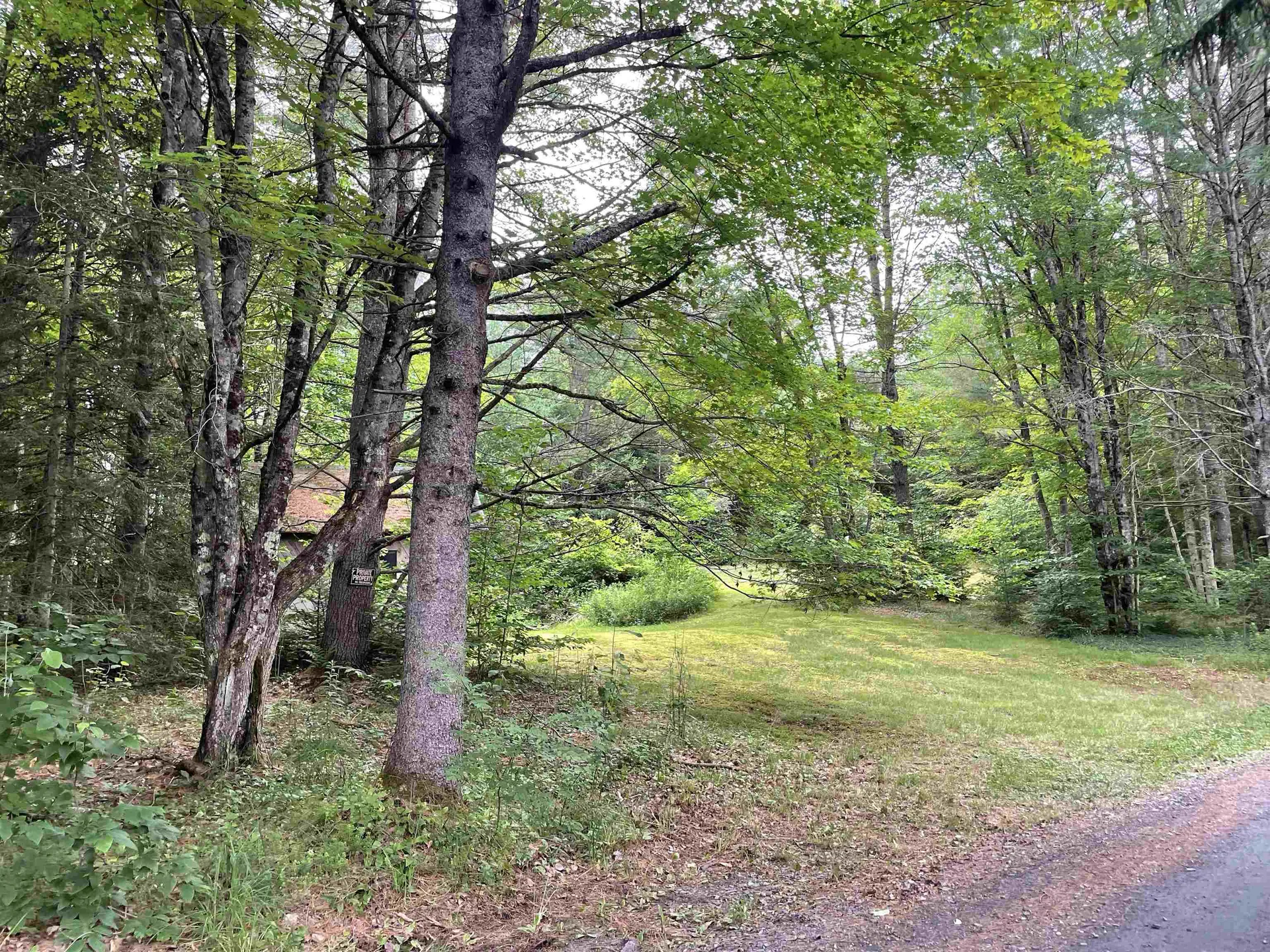 463 Chartier Hill Road Woodbury VT 05681