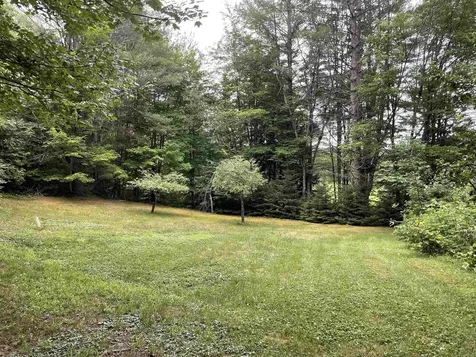 463 Chartier Hill Road Woodbury VT 05681
