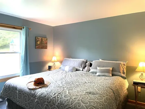 463 Chartier Hill Road Woodbury VT 05681