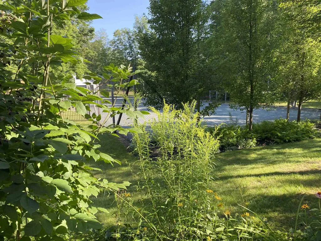 300 Grove Street Rutland City VT 05701