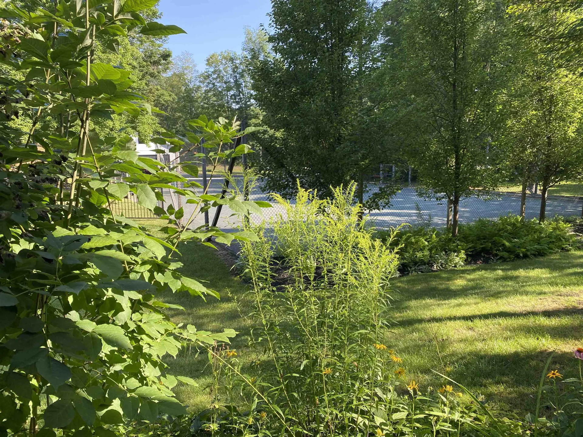 300 Grove Street Rutland City VT 05701