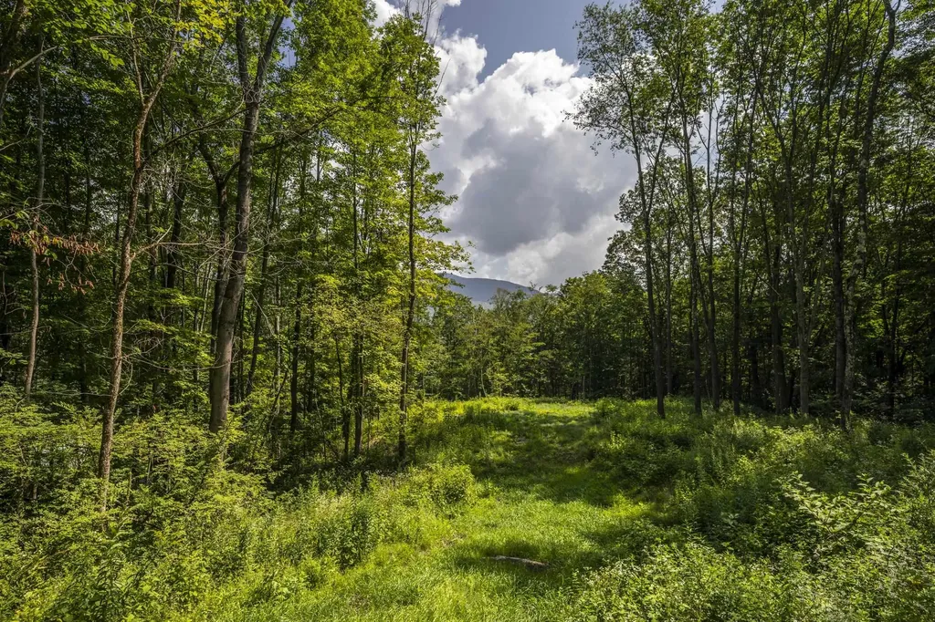 0 Foote Road Dorset VT 05251