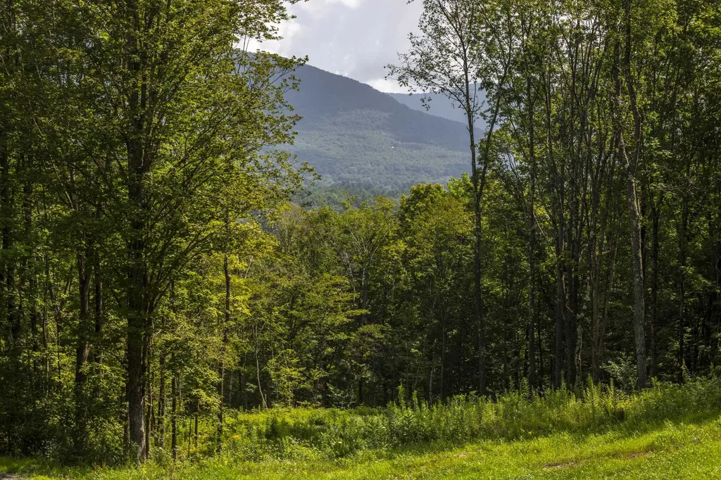 0 Foote Road Dorset VT 05251