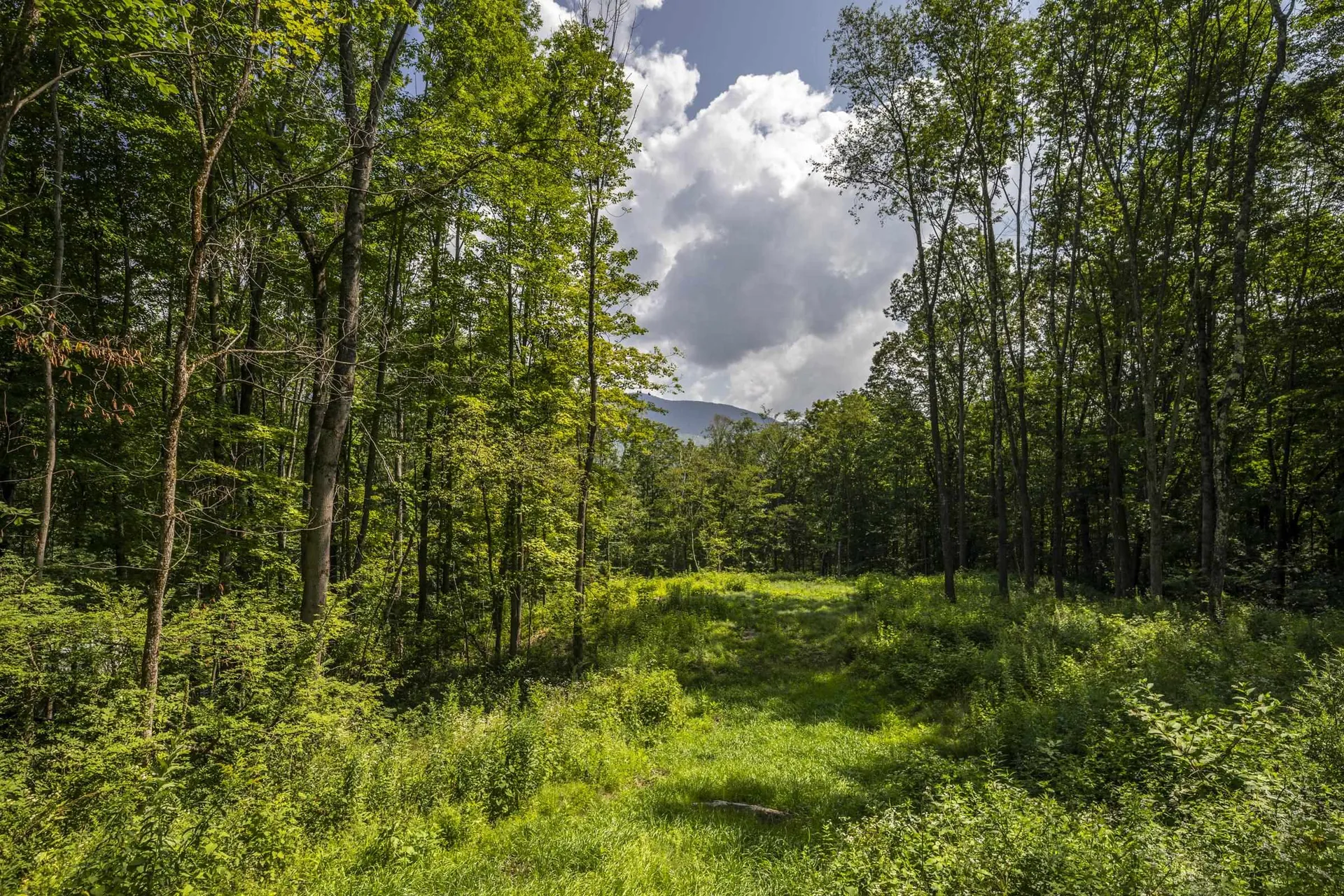 0 Foote Road Dorset VT 05251