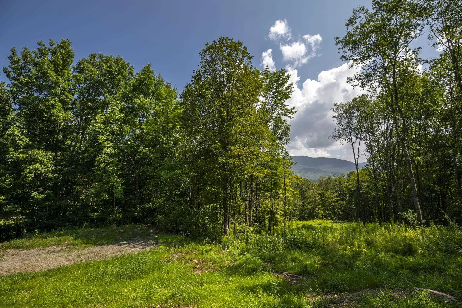 0 Foote Road Dorset VT 05251