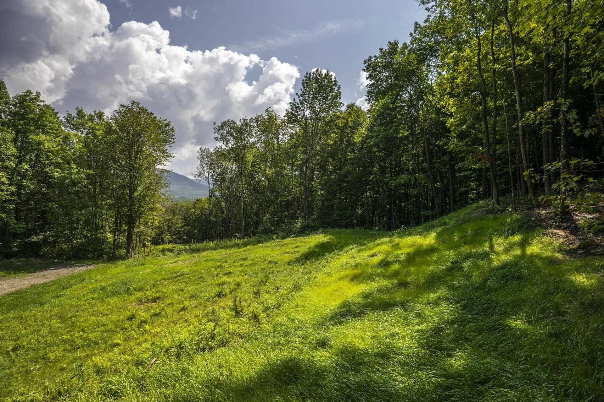 0 Foote Road Dorset VT 05251