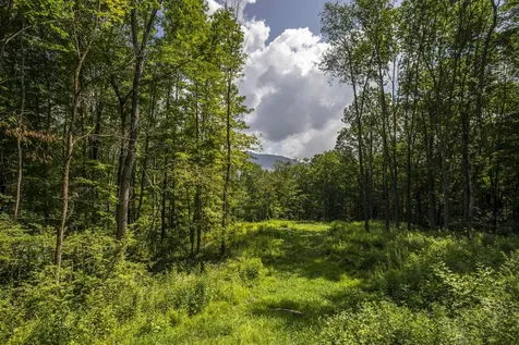 0 Foote Road Dorset VT 05251