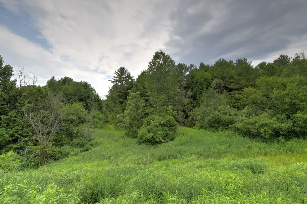 120 Richardson Road Barre Town VT 05641