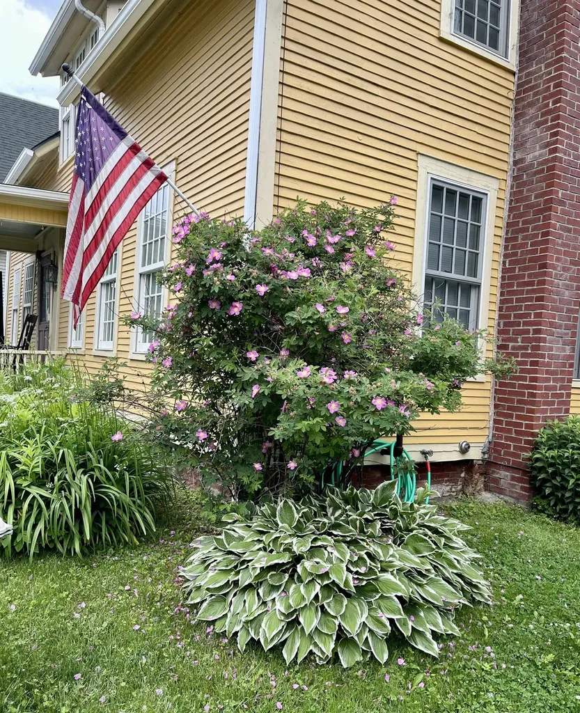 989 Vermont Route 100b Moretown VT 05660