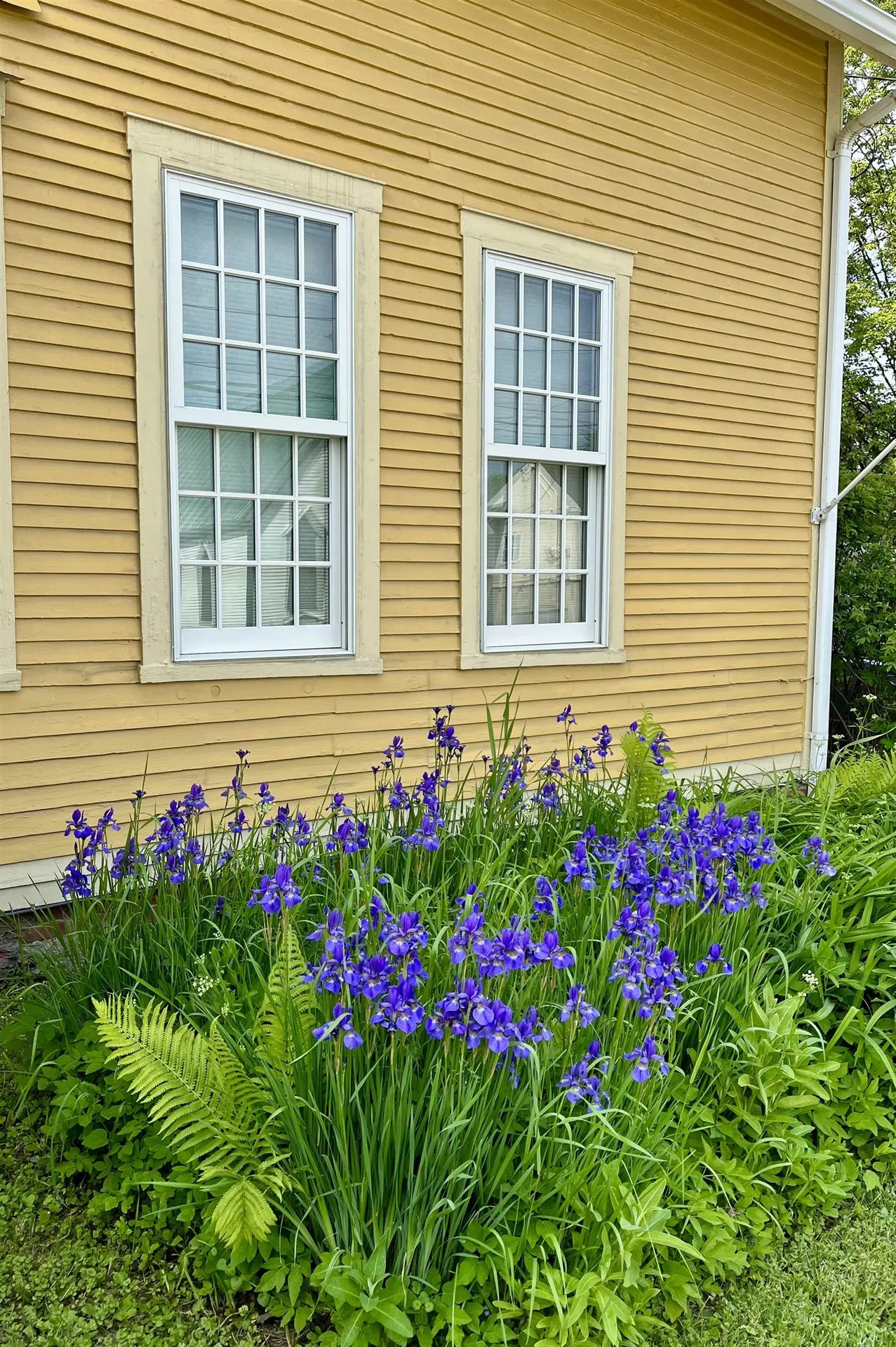 989 Vermont Route 100b Moretown VT 05660