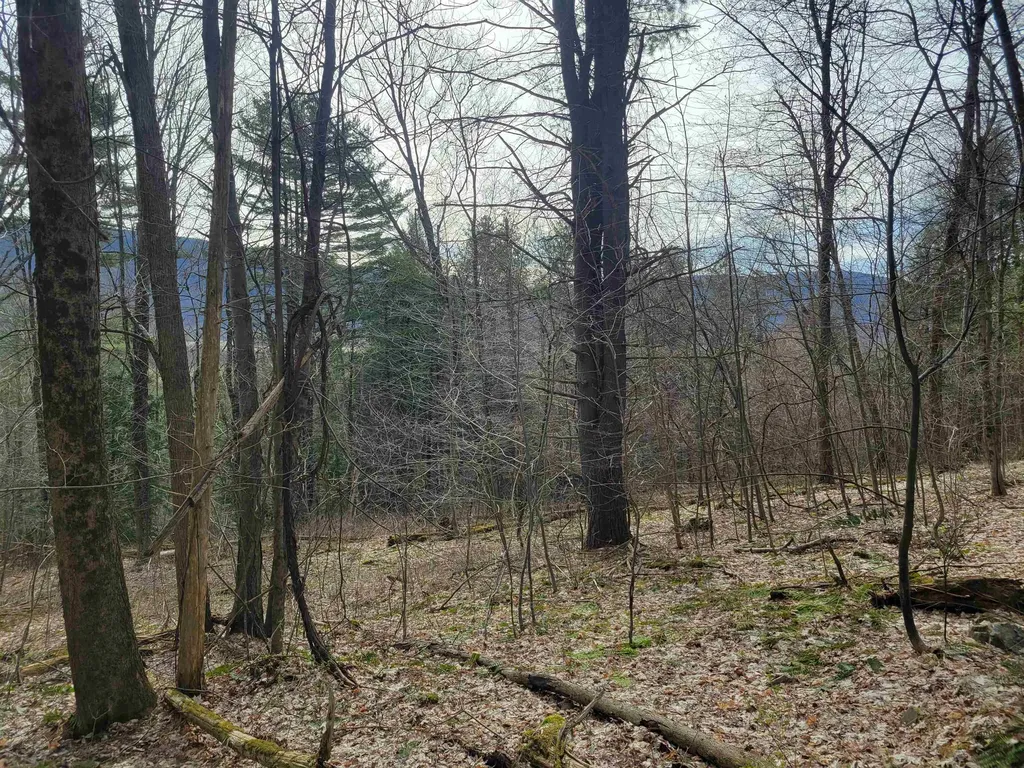 1890-b Bristol Road Monkton VT 05469