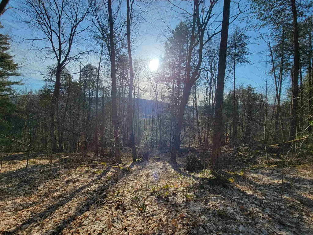 1890-b Bristol Road Monkton VT 05469