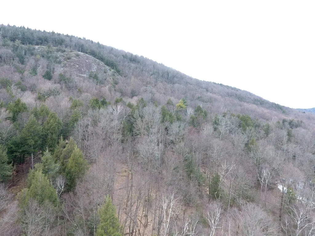 1890-b Bristol Road Monkton VT 05469