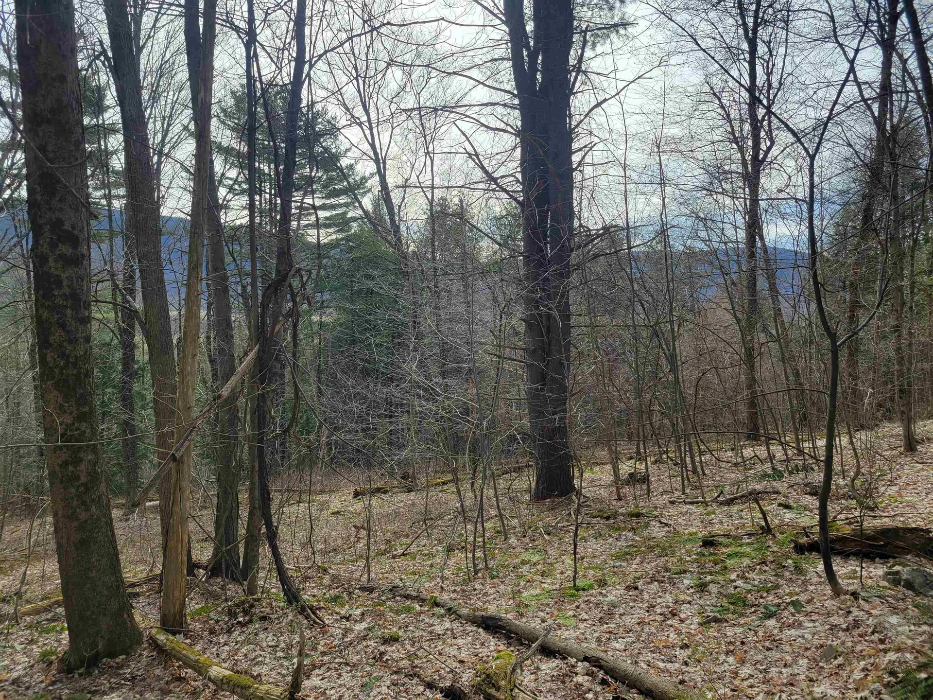 1890-b Bristol Road Monkton VT 05469