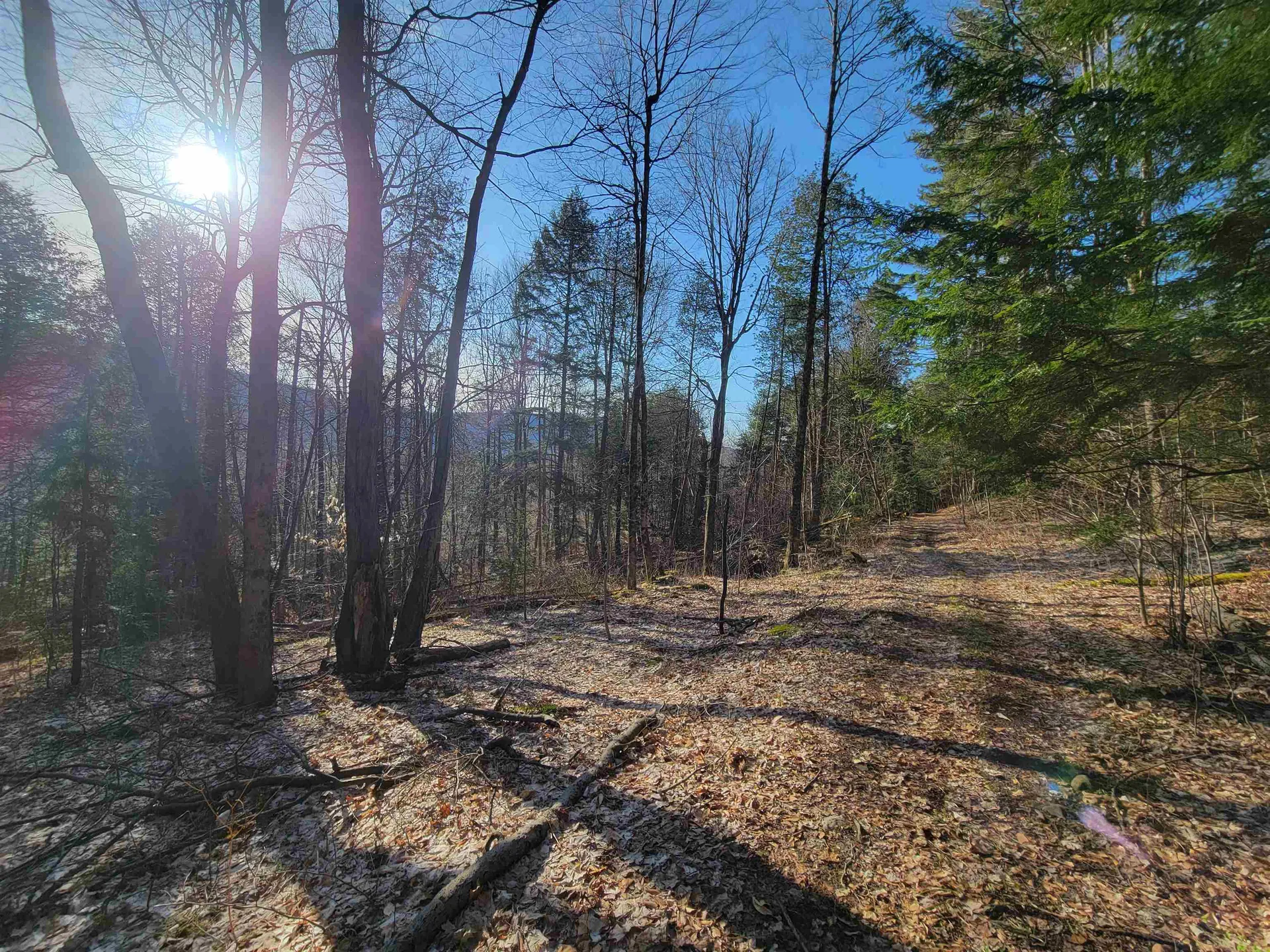 1890-b Bristol Road Monkton VT 05469