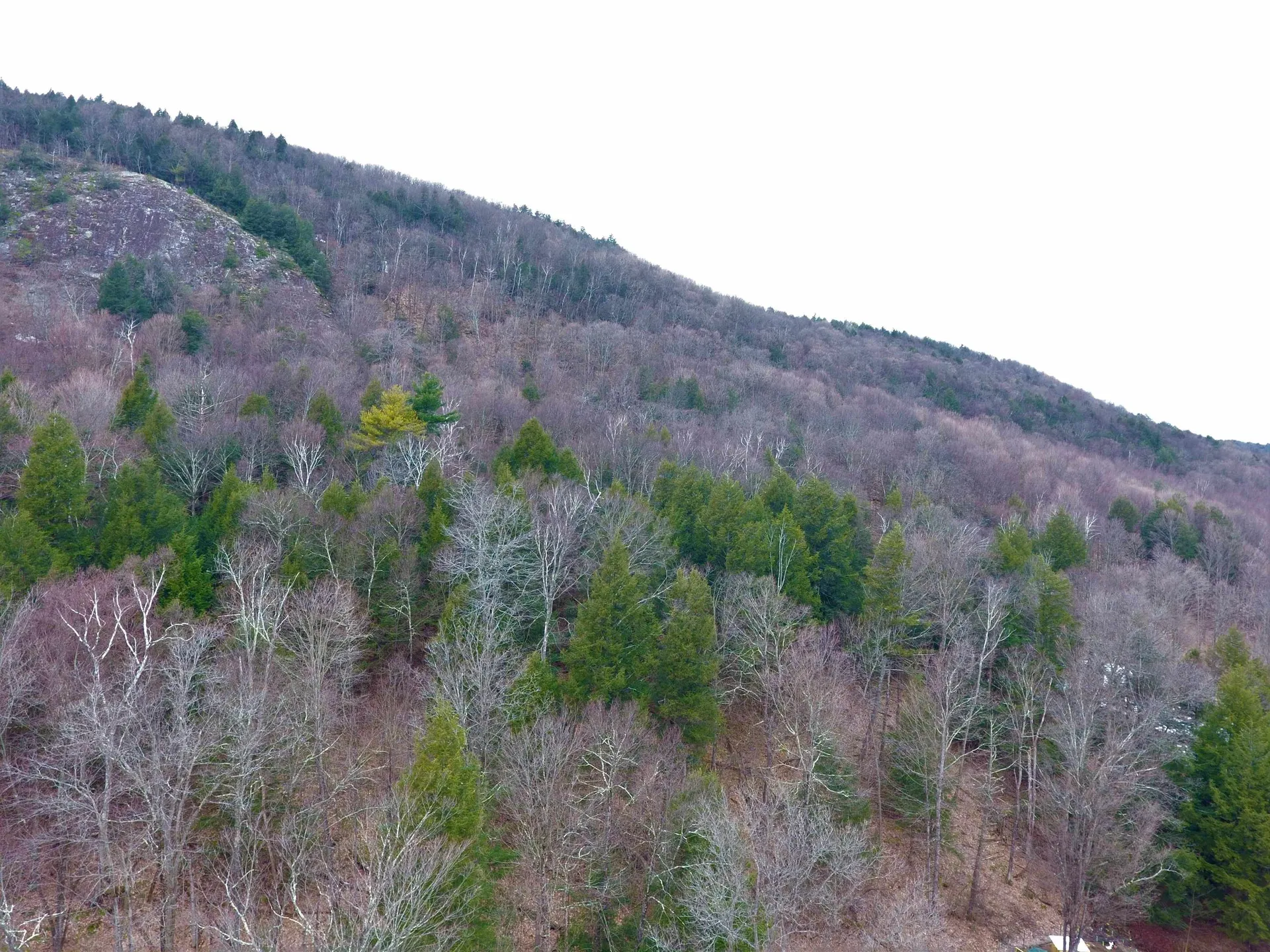 1890-b Bristol Road Monkton VT 05469