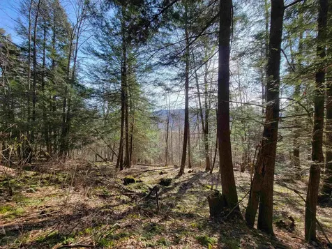 1890-b Bristol Road Monkton VT 05469