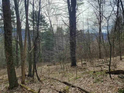 1890-b Bristol Road Monkton VT 05469