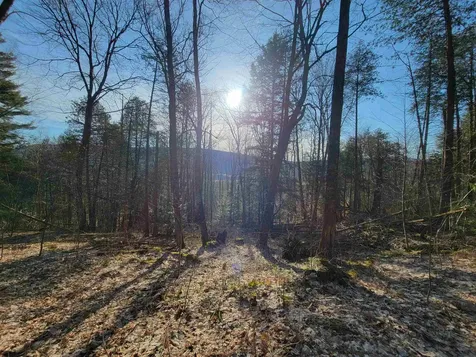 1890-b Bristol Road Monkton VT 05469