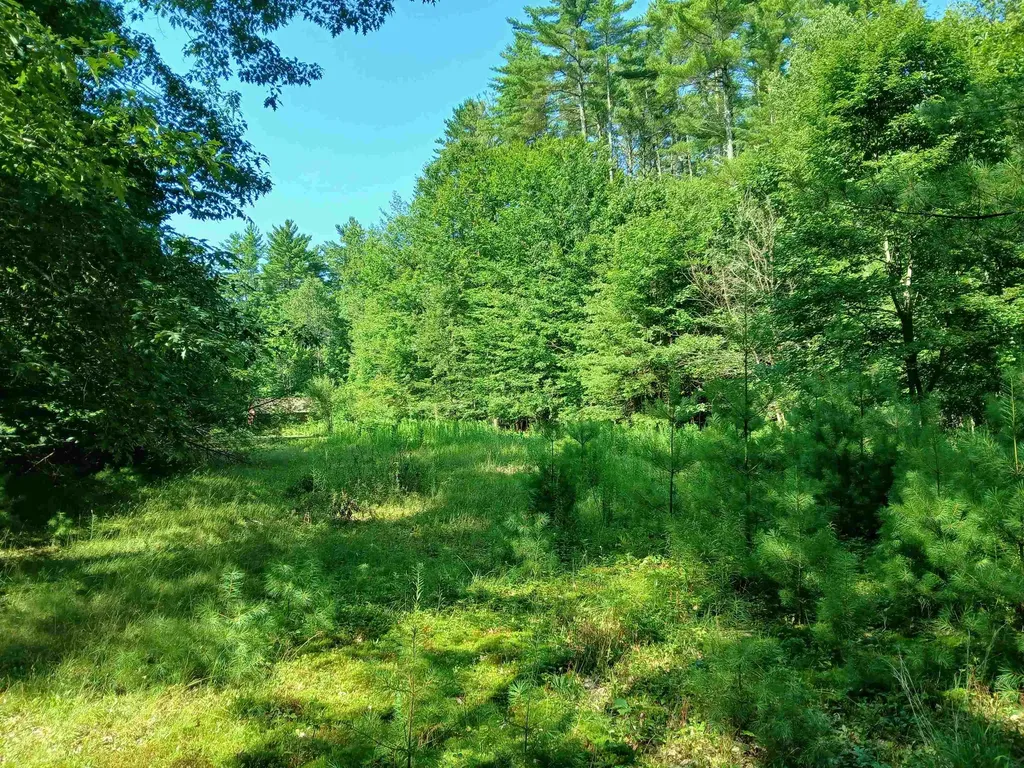 106 Middle Road Tuftonboro NH 03816