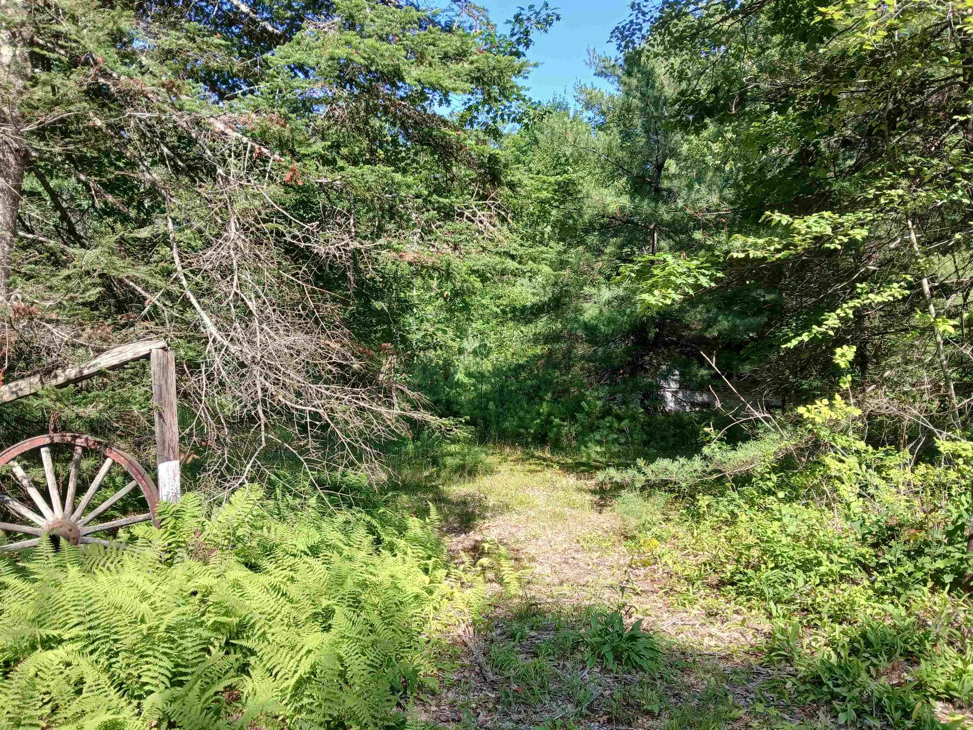 106 Middle Road Tuftonboro NH 03816