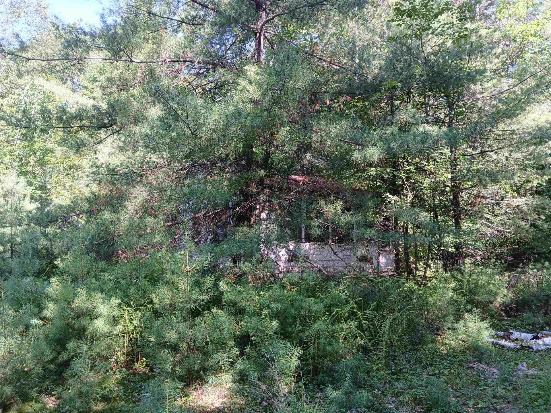 106 Middle Road Tuftonboro NH 03816