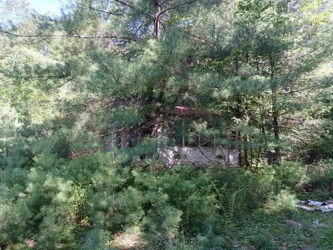 106 Middle Road Tuftonboro NH 03816