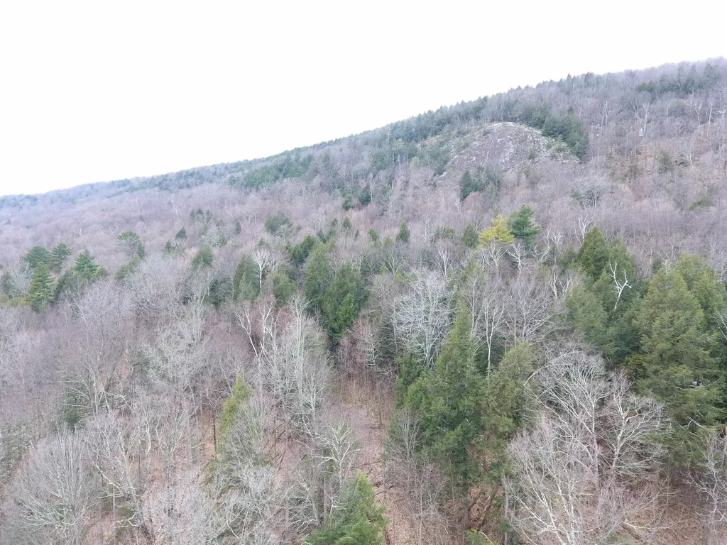 1890-a Bristol Road Monkton VT 05469