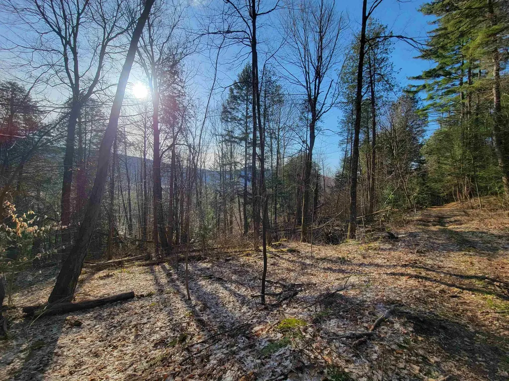 1890-a Bristol Road Monkton VT 05469