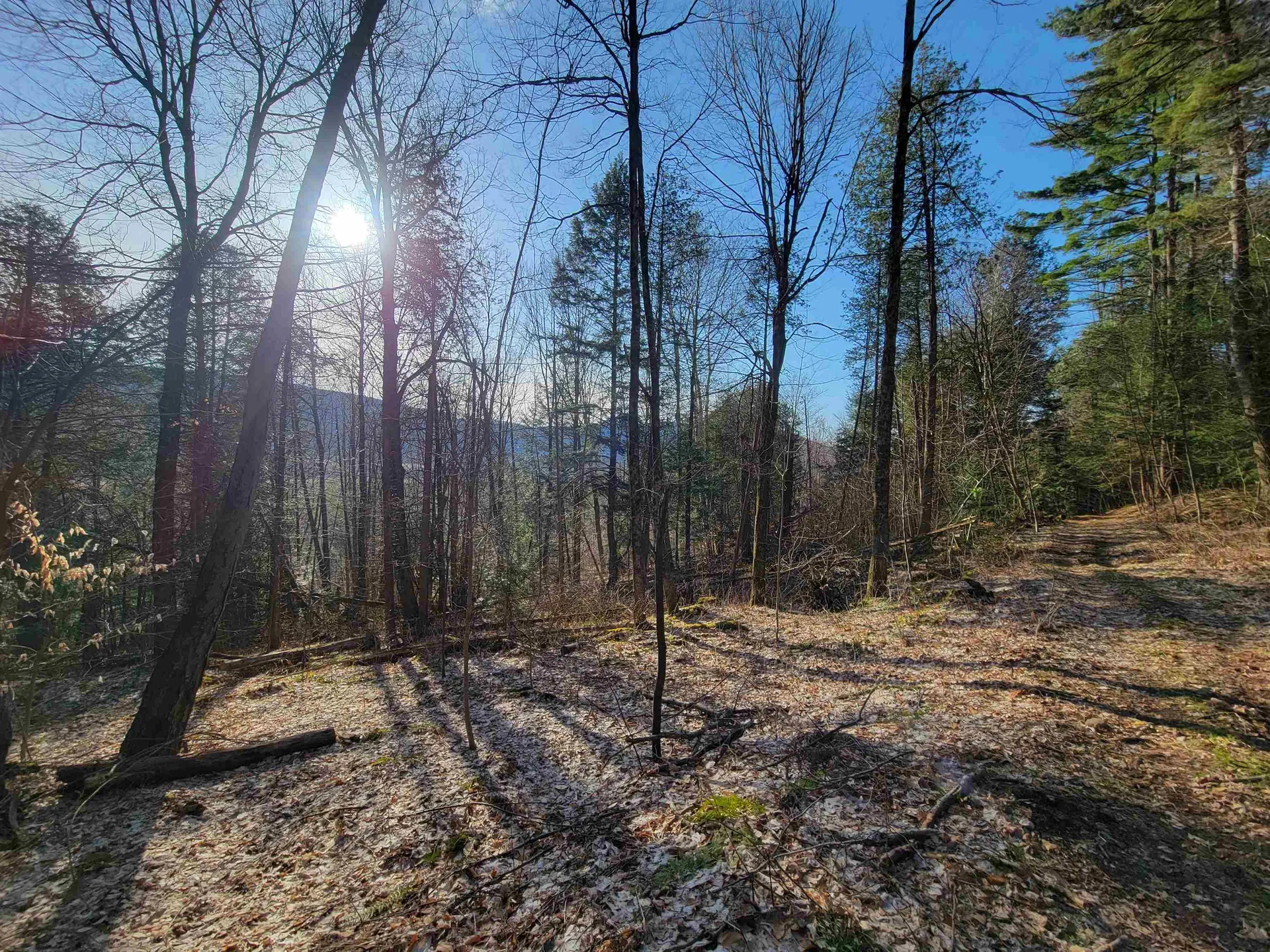 1890-a Bristol Road Monkton VT 05469