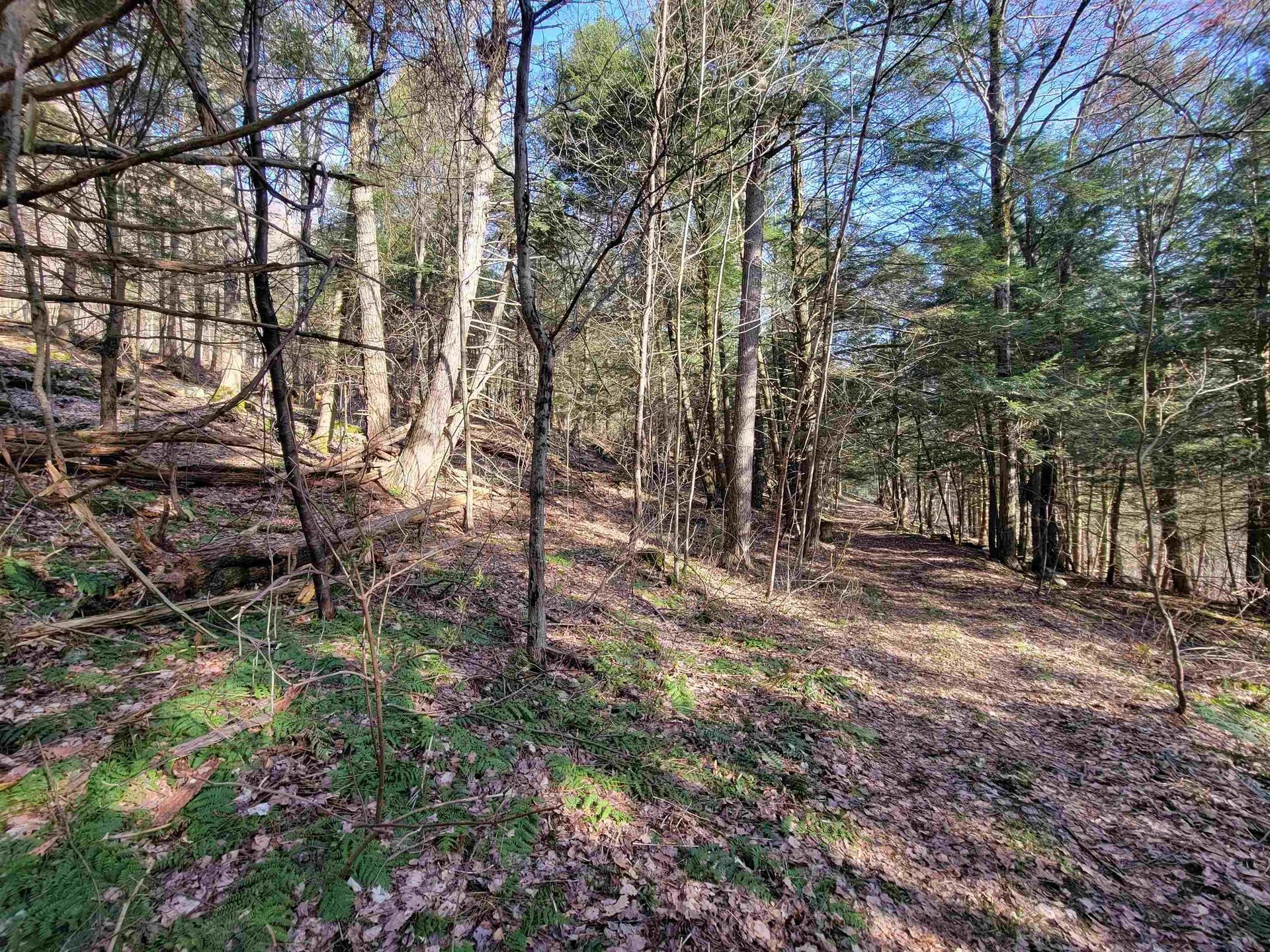 1890-a Bristol Road Monkton VT 05469