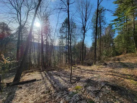 1890-a Bristol Road Monkton VT 05469