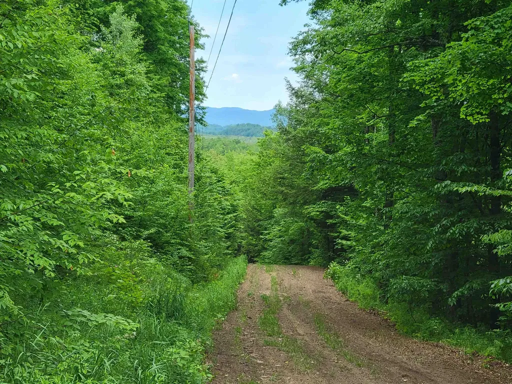 1890 Bristol Road Monkton VT 05469