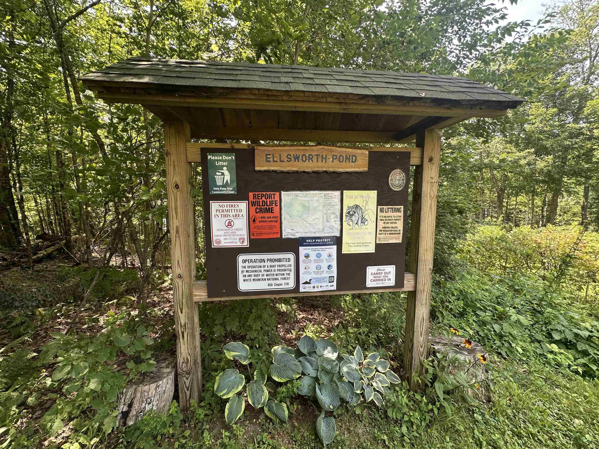229 Ellsworth Pond Road Ellsworth NH 03223