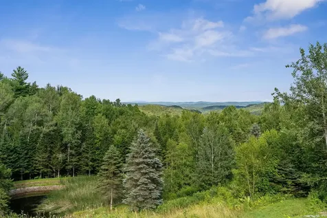 691 Dartt Hill Road Bethel VT 05032