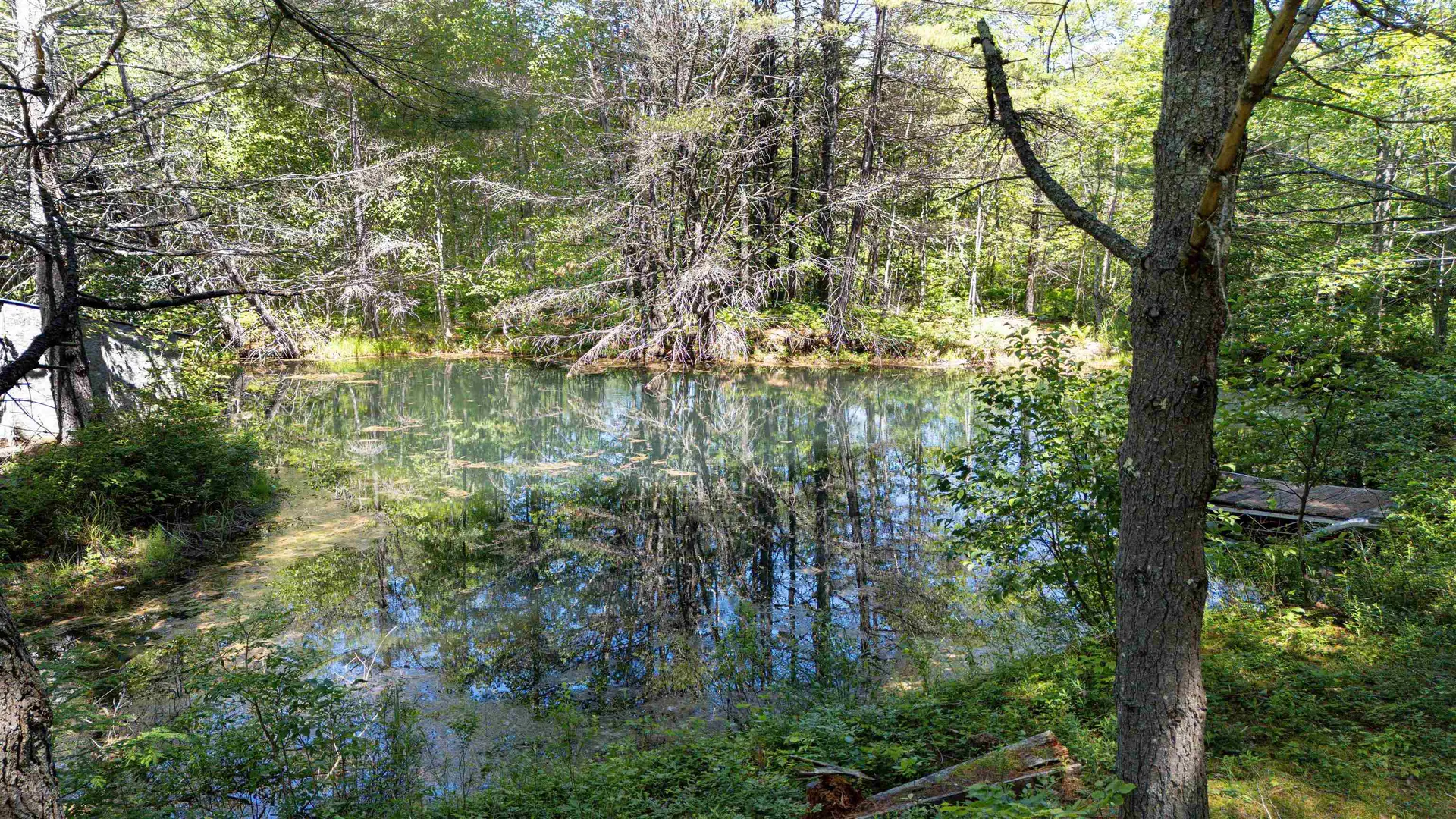 304 Kearsarge Valley Road Wilmot NH 03287