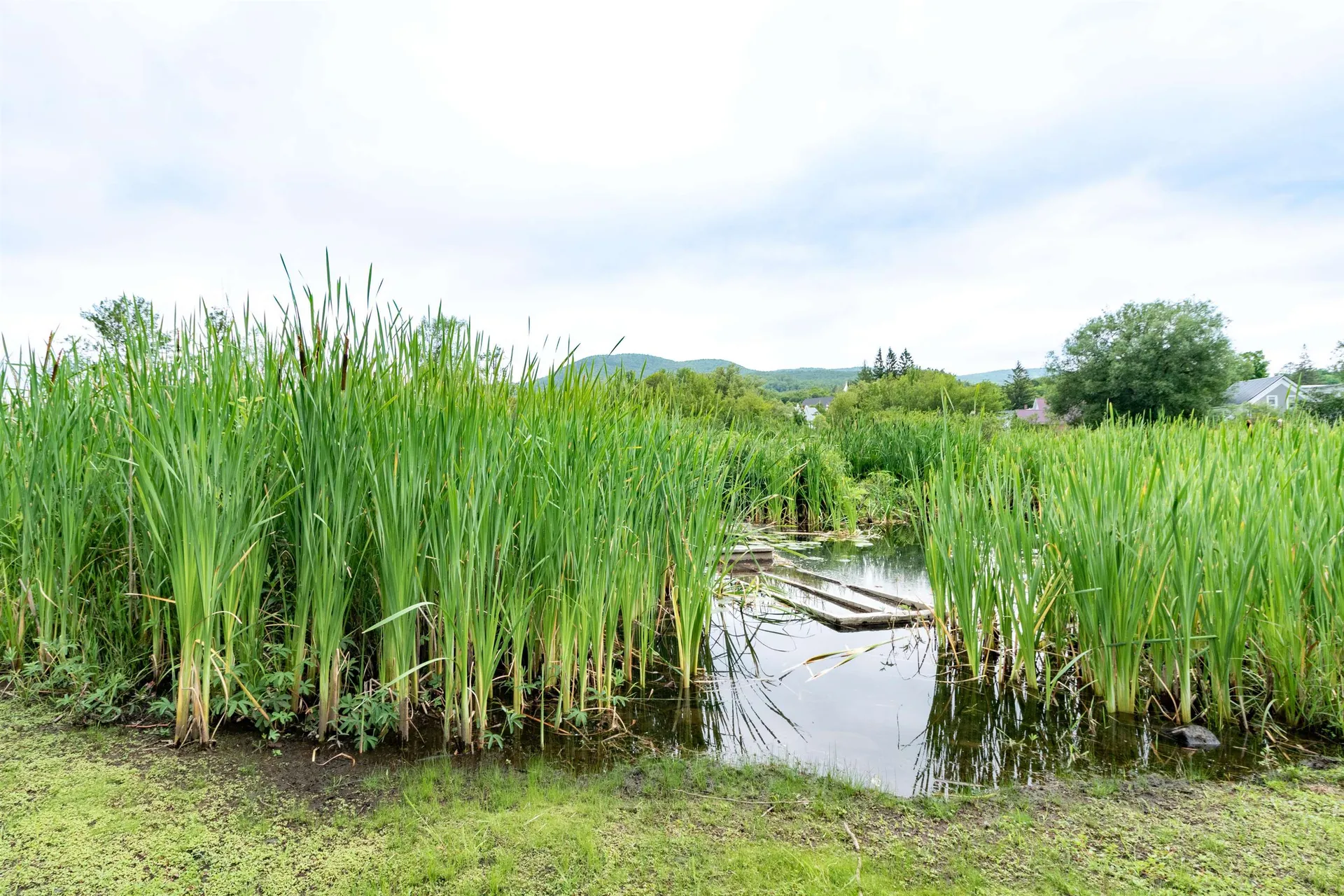 92 Derby Street Brighton VT 05846