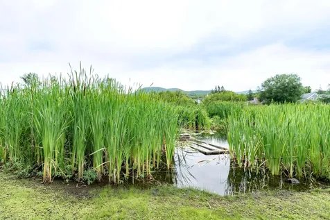 92 Derby Street Brighton VT 05846