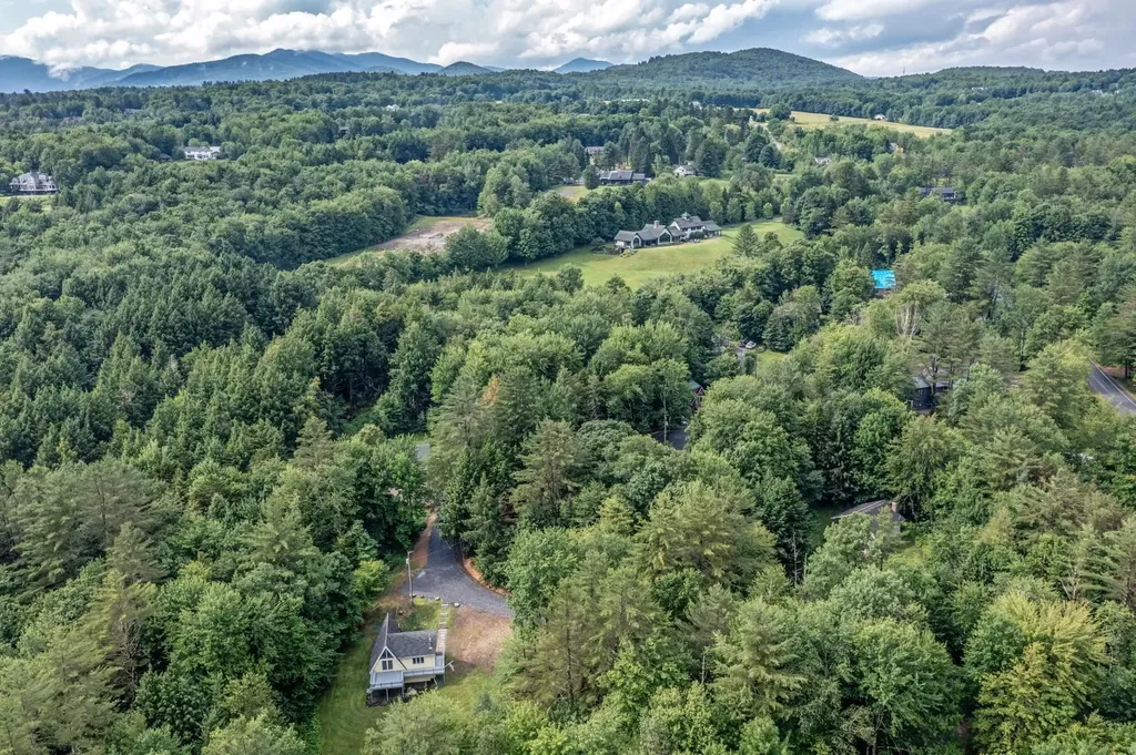 95 Alpine Meadows Stowe VT 05672