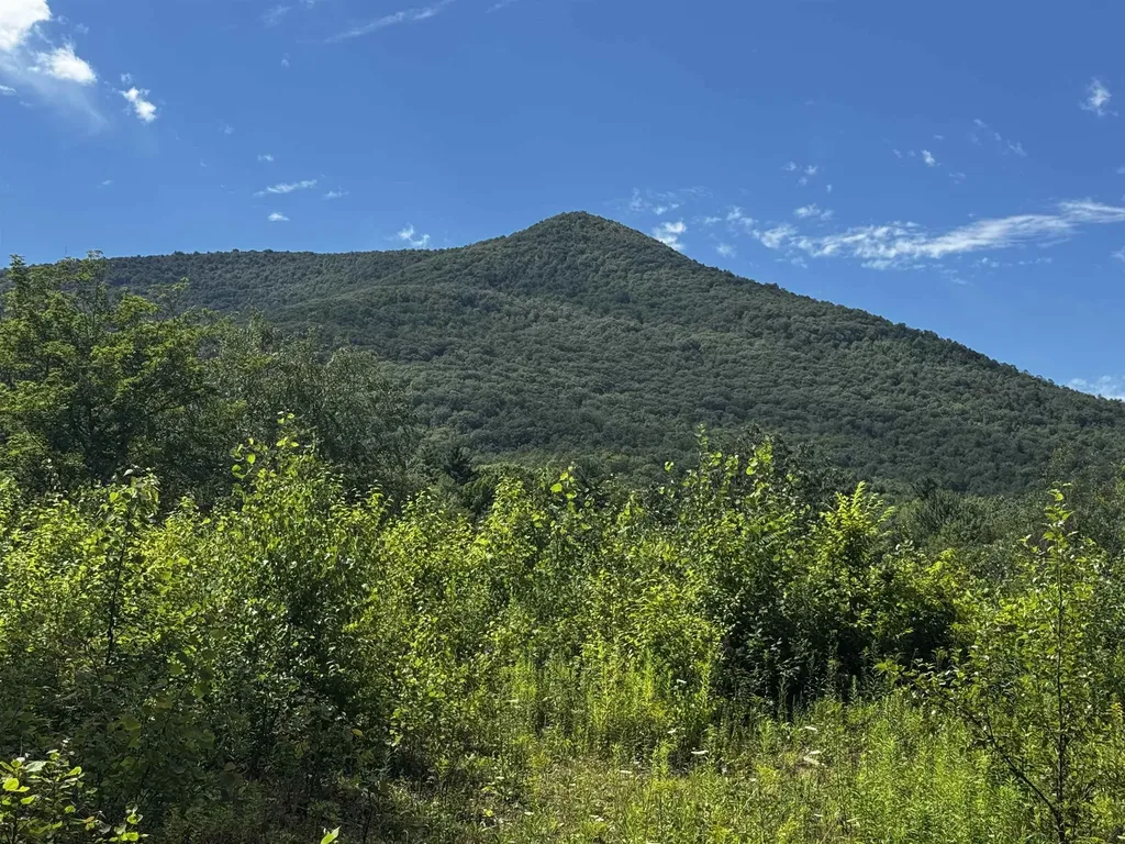 272 Twenty Acre Wood Arlington VT 05250