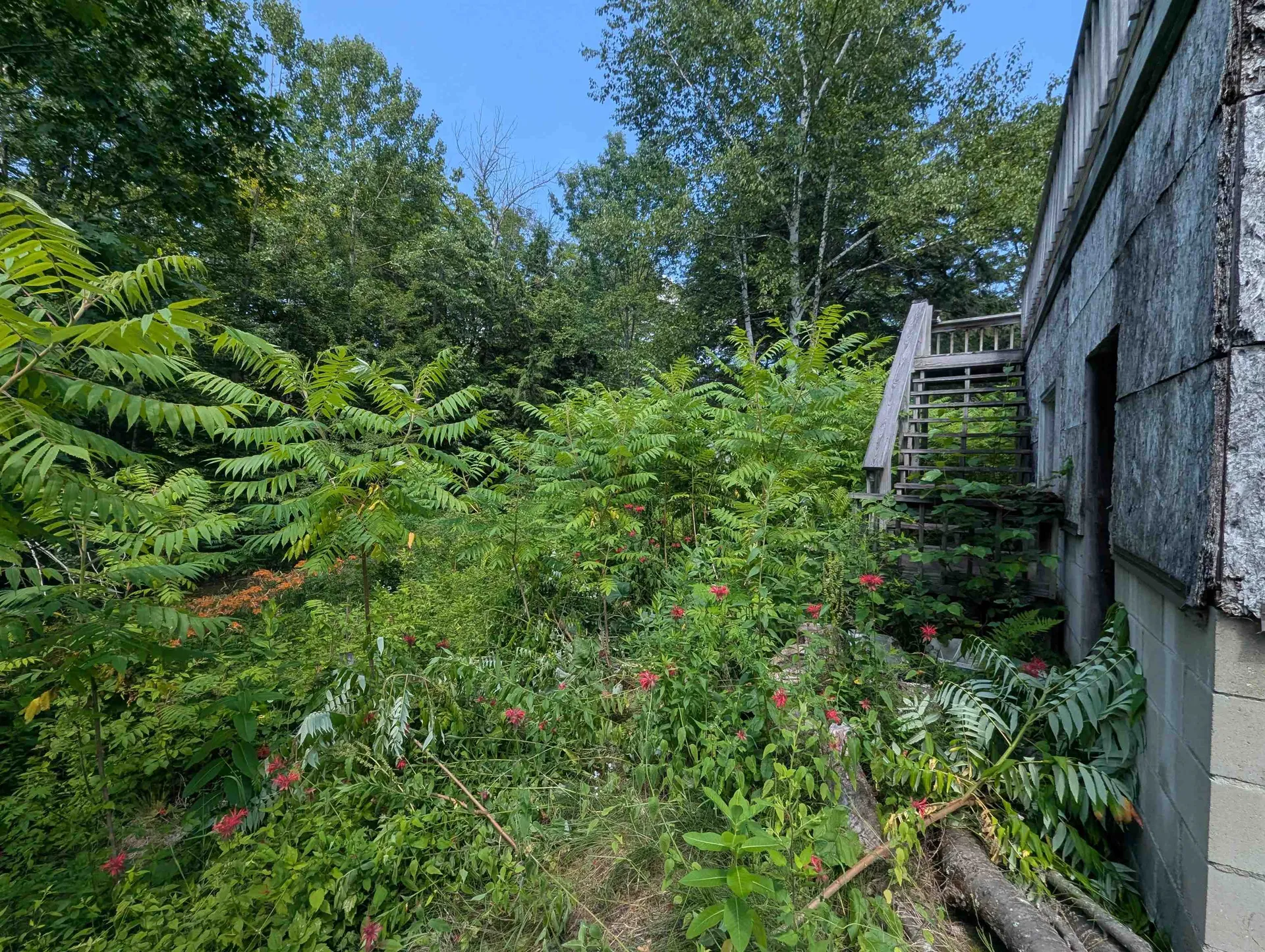 1438 Gravelin Road Weathersfield VT 05151