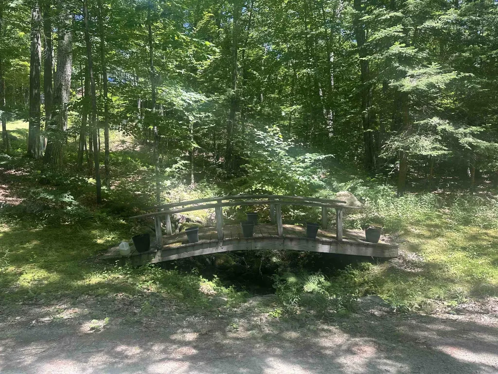 Lot 22 Rand Pond Road Goshen NH 03752