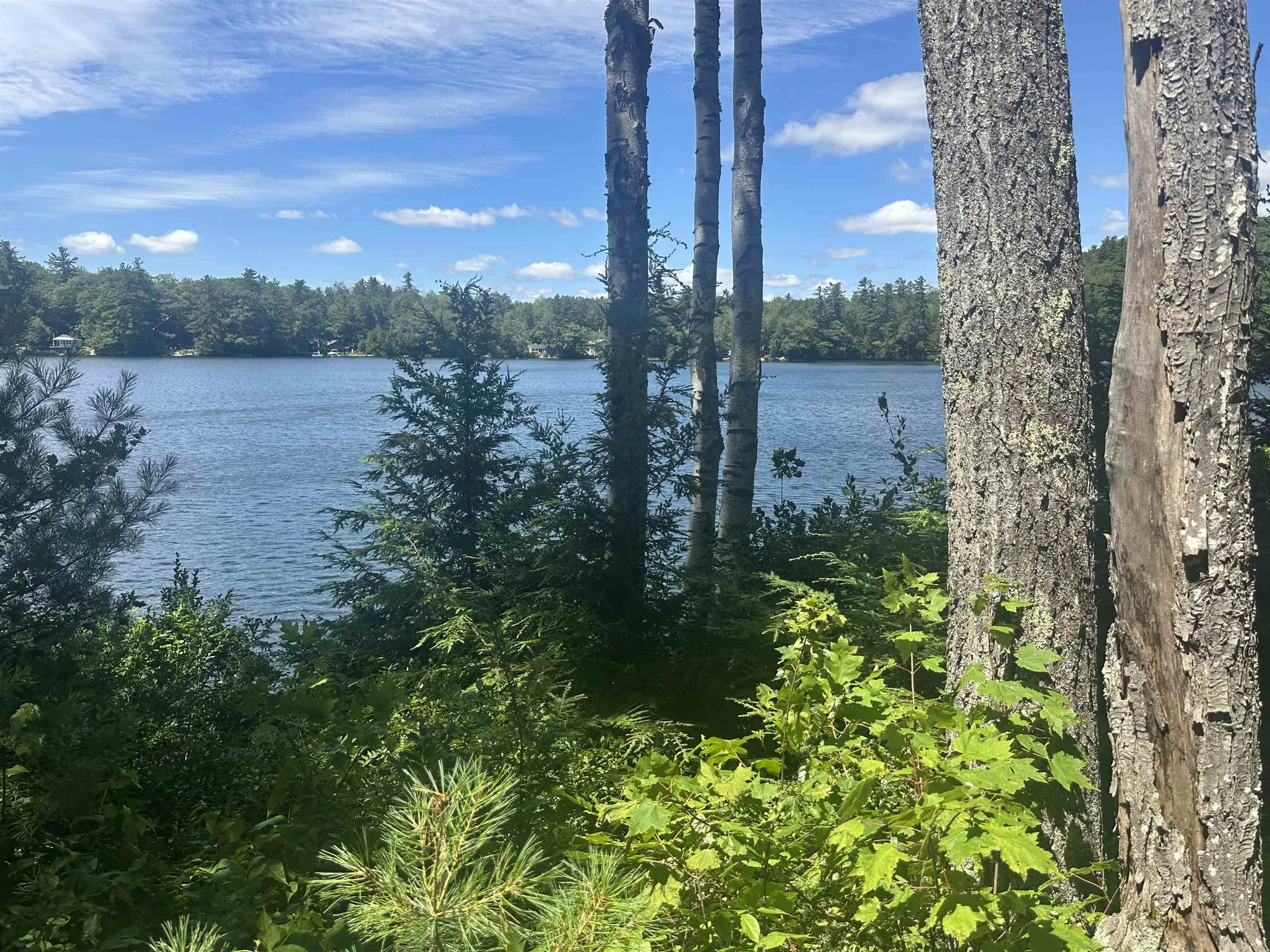 Lot 22 Rand Pond Road Goshen NH 03752