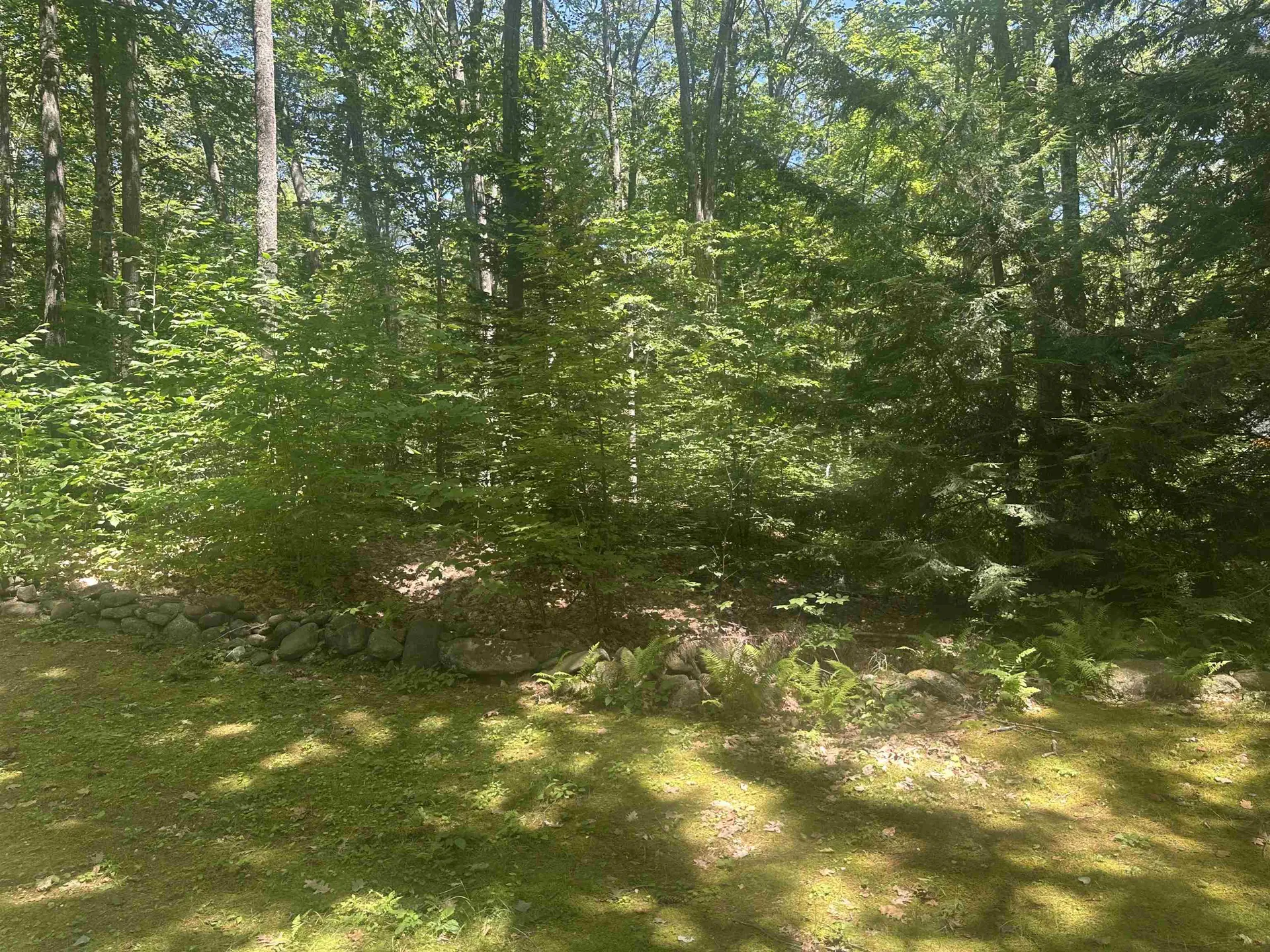 Lot 22 Rand Pond Road Goshen NH 03752